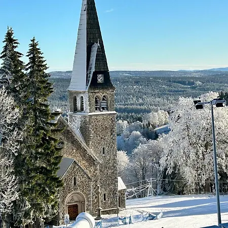 Dom wakacyjny Hill41 Kotlina Kłodzka *